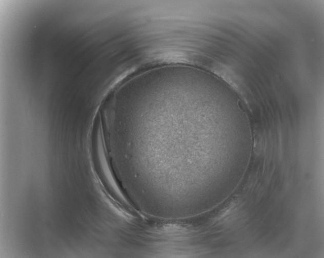 X0000069840390200605261912