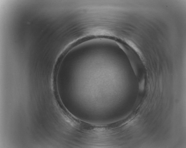 X0000069840391200605261912