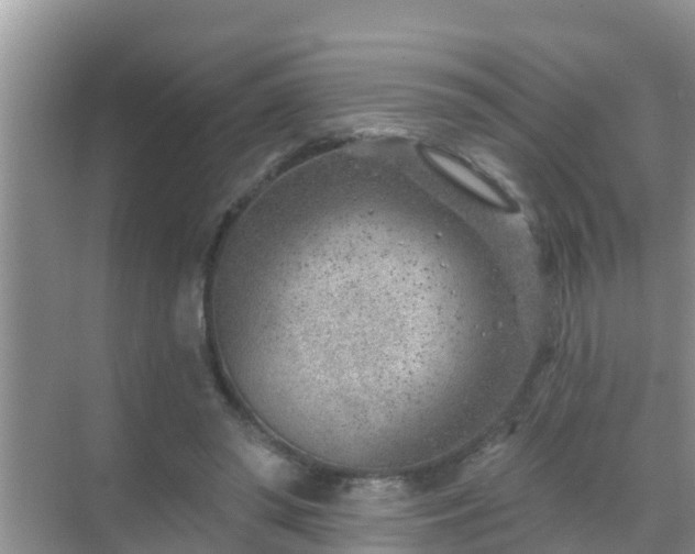 X0000069840398200605261912