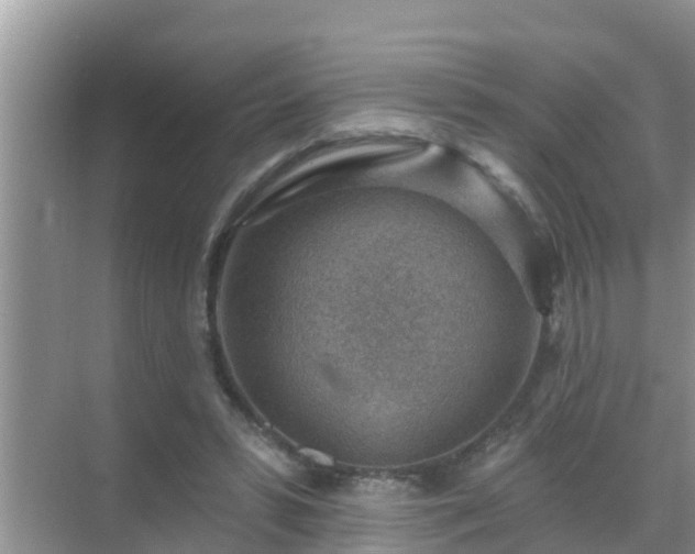 X0000069840399200605261912