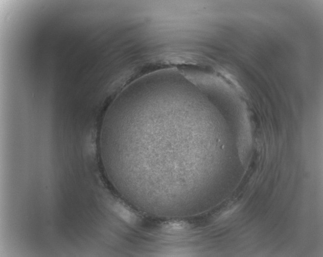 X0000069840402200605261912