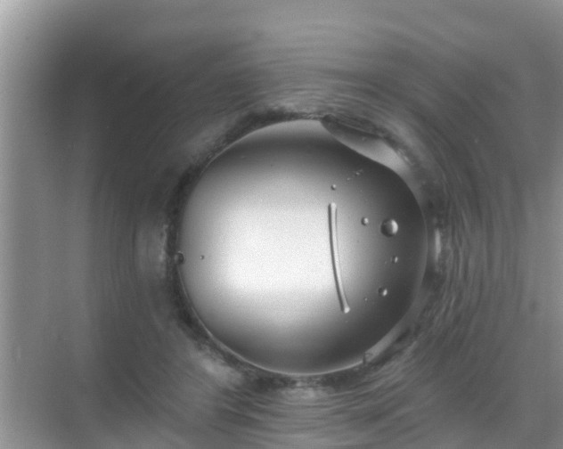 X0000069840404200605261912