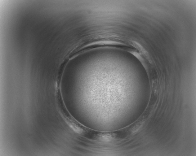 X0000069840405200605261912