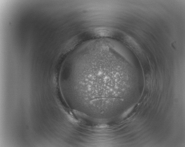 X0000069840410200605261912