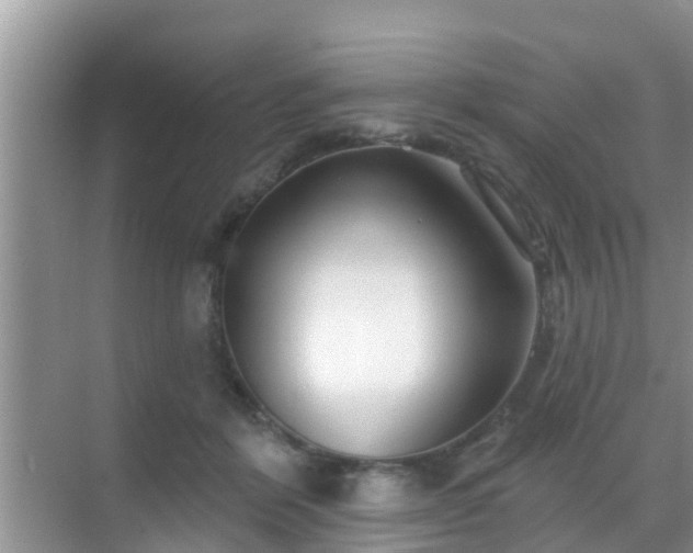 X0000069840412200605261912