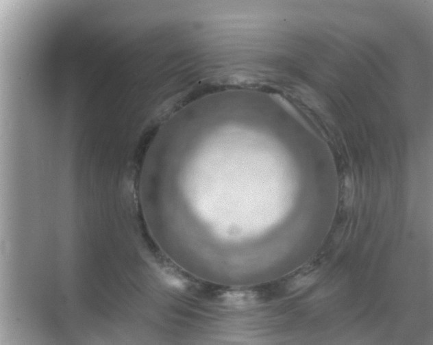 X0000069840415200605261912