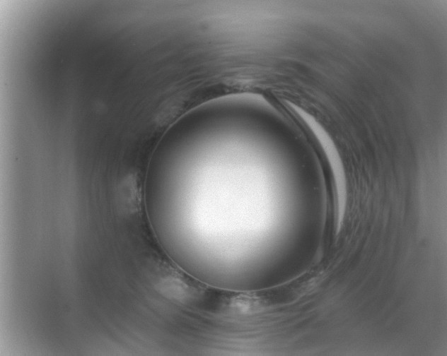 X0000069840420200605261912