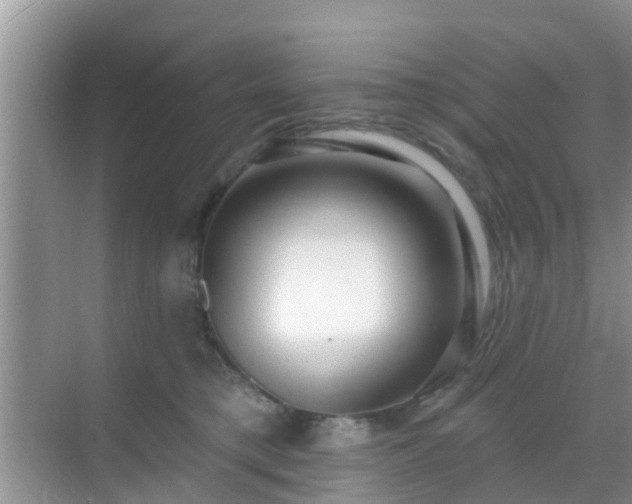 X0000069840421200605261912