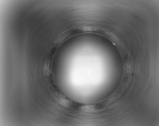 X0000069840422200605261912