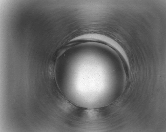 X0000069840425200605261912