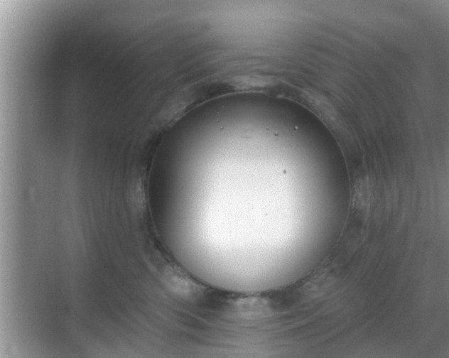 X0000069840426200605261912