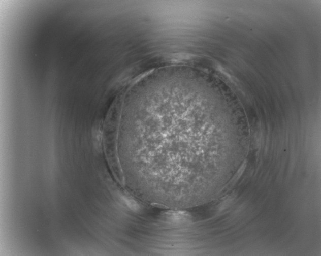 X0000069840427200605261912