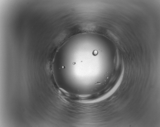 X0000069840428200605261911