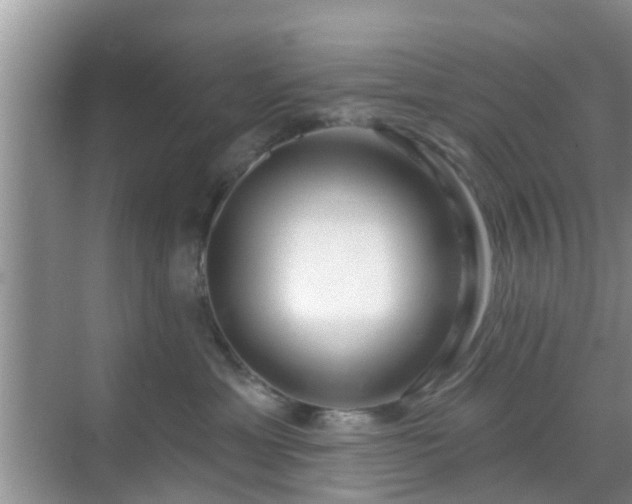 X0000069840429200605261911