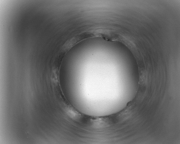 X0000069840430200605261911