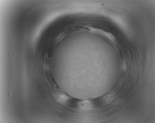 X0000069840431200605261911