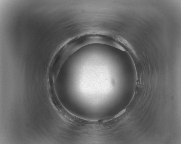 X0000069840436200605261911