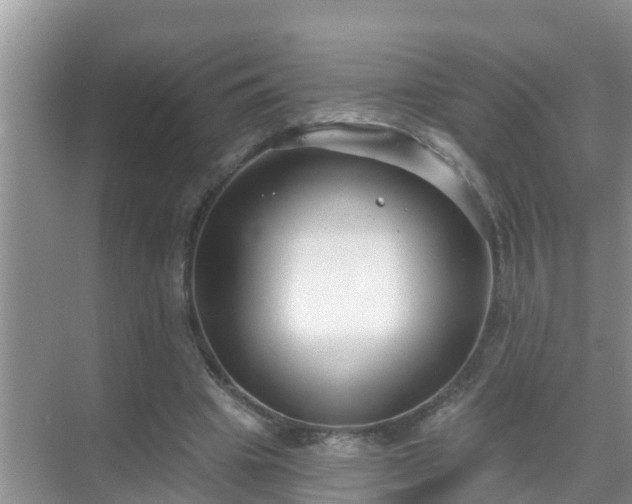 X0000069840441200605261911