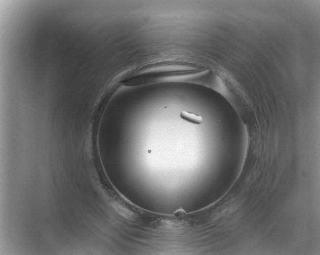 X0000069840442200605261911