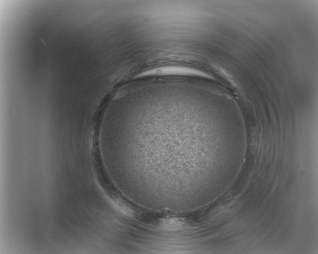 X0000069840451200605261911