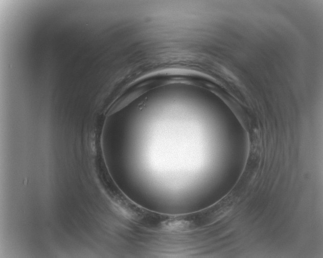 X0000069840452200605261911