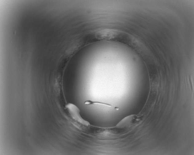 X0000069840460200605261911