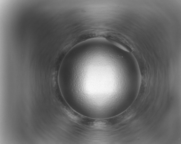 X0000069840462200605261911