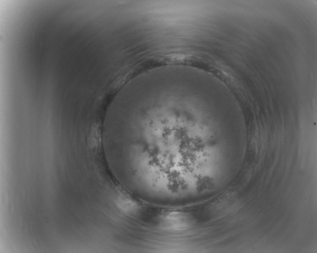 X0000069840467200605261911