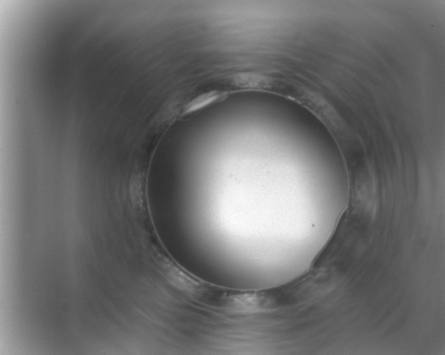 X0000069840473200605261911