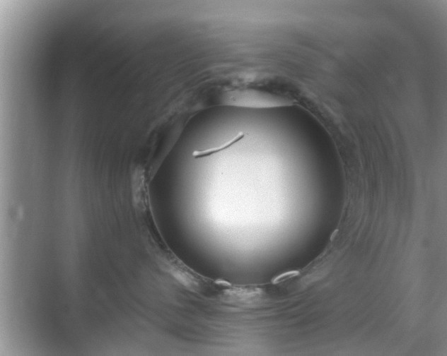 X0000069840480200605261911