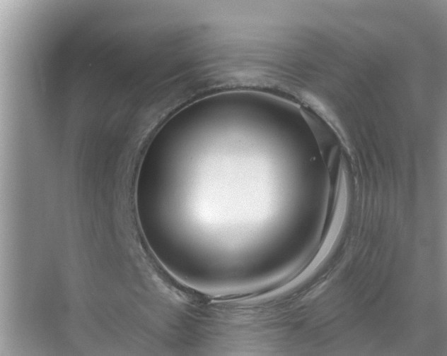 X0000069840481200605261911