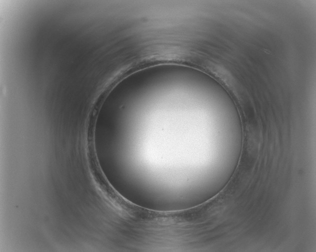 X0000069840482200605261911