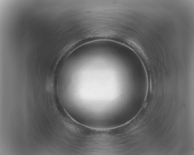 X0000069840483200605261911