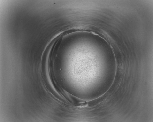 X0000069840484200605261911