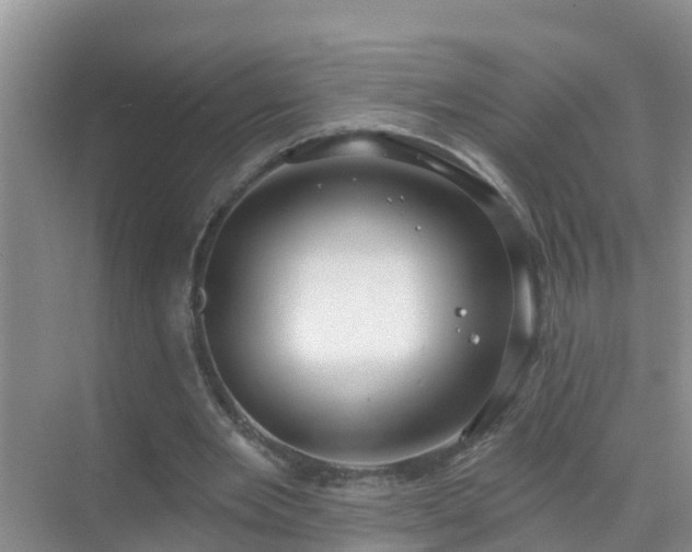 X0000069840485200605261911