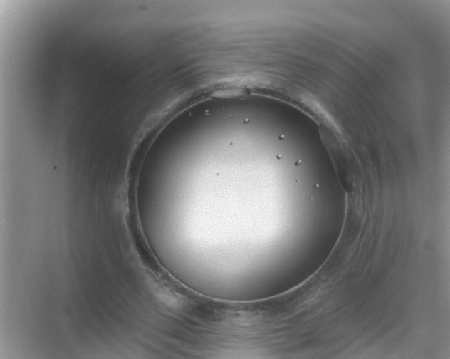 X0000069840486200605261911