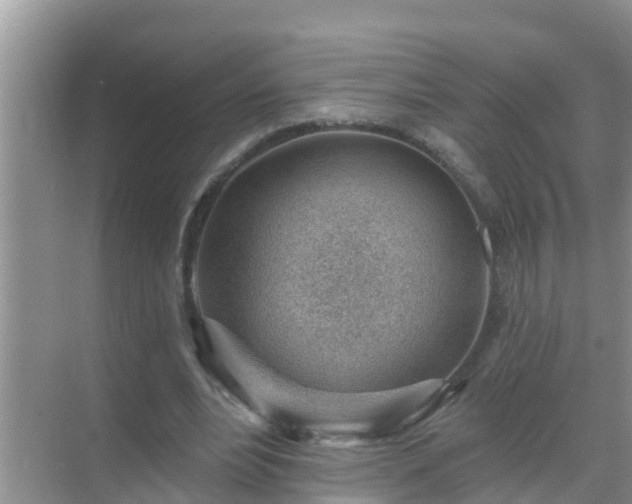 X0000069840488200605261910