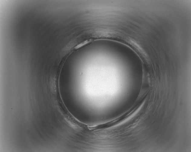 X0000069840489200605261910