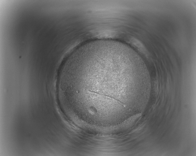 X0000069840491200605261910