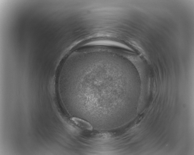 X0000069840492200605261910