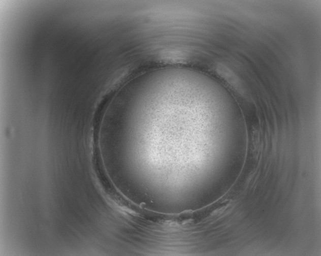 X0000069840494200605261910