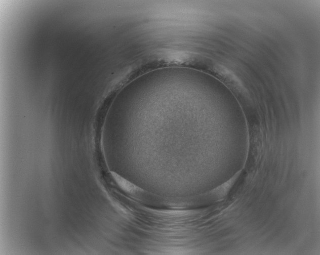 X0000069840496200605261910