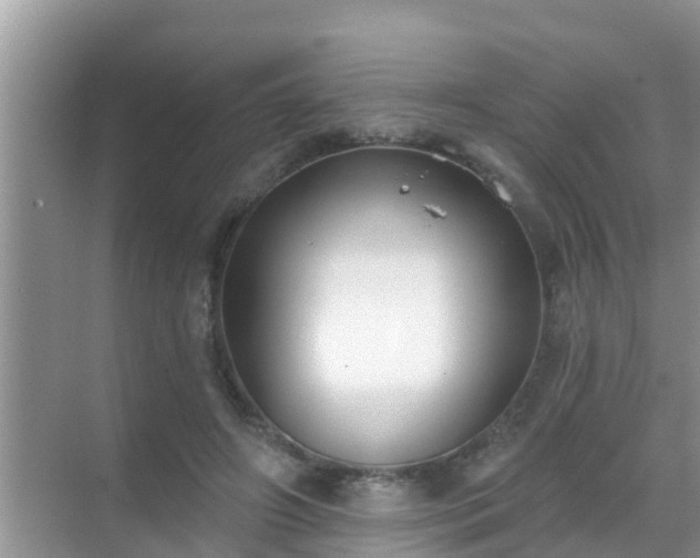 X0000069840498200605261910