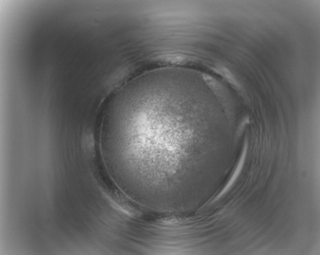 X0000069840500200605261910