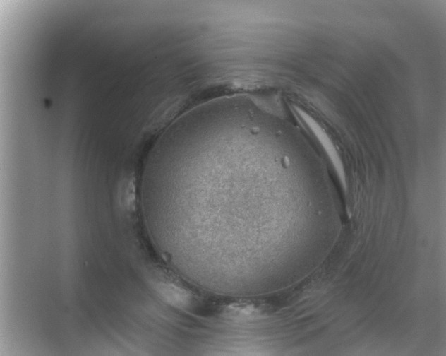 X0000069840502200605261910