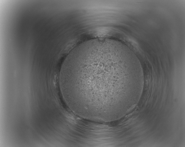 X0000069840503200605261910