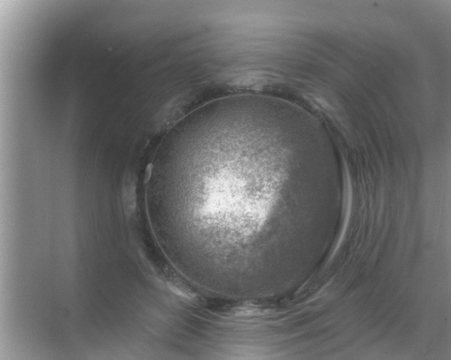 X0000069840504200605261910