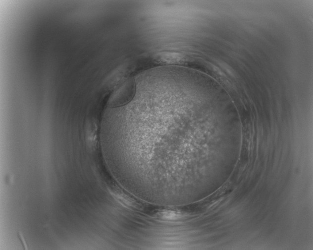 X0000069840507200605261910