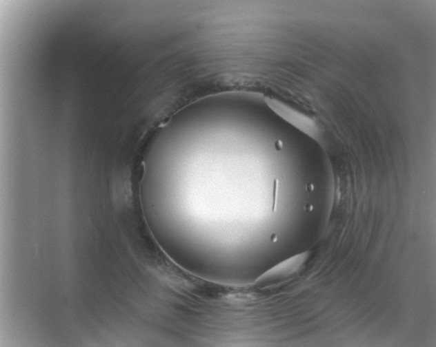 X0000069840508200605261910