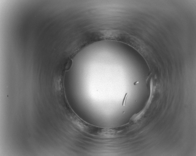 X0000069840514200605261910